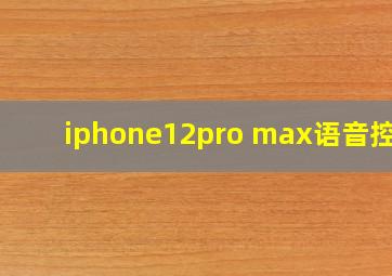 iphone12pro max语音控制